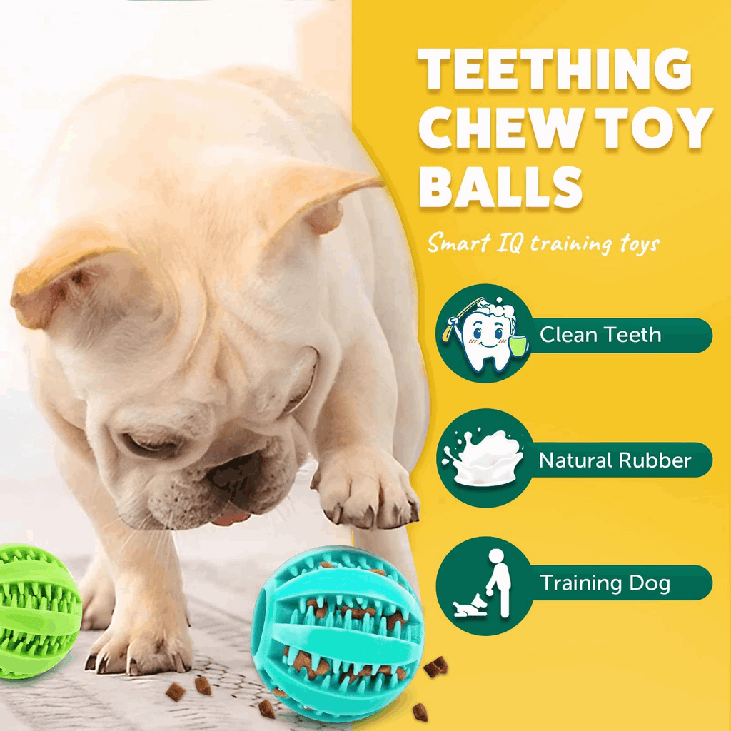2.5” Squeaky Dog Balls for Small Dogs - Interactive Teething Chew Toys for Clean Teeth and Training