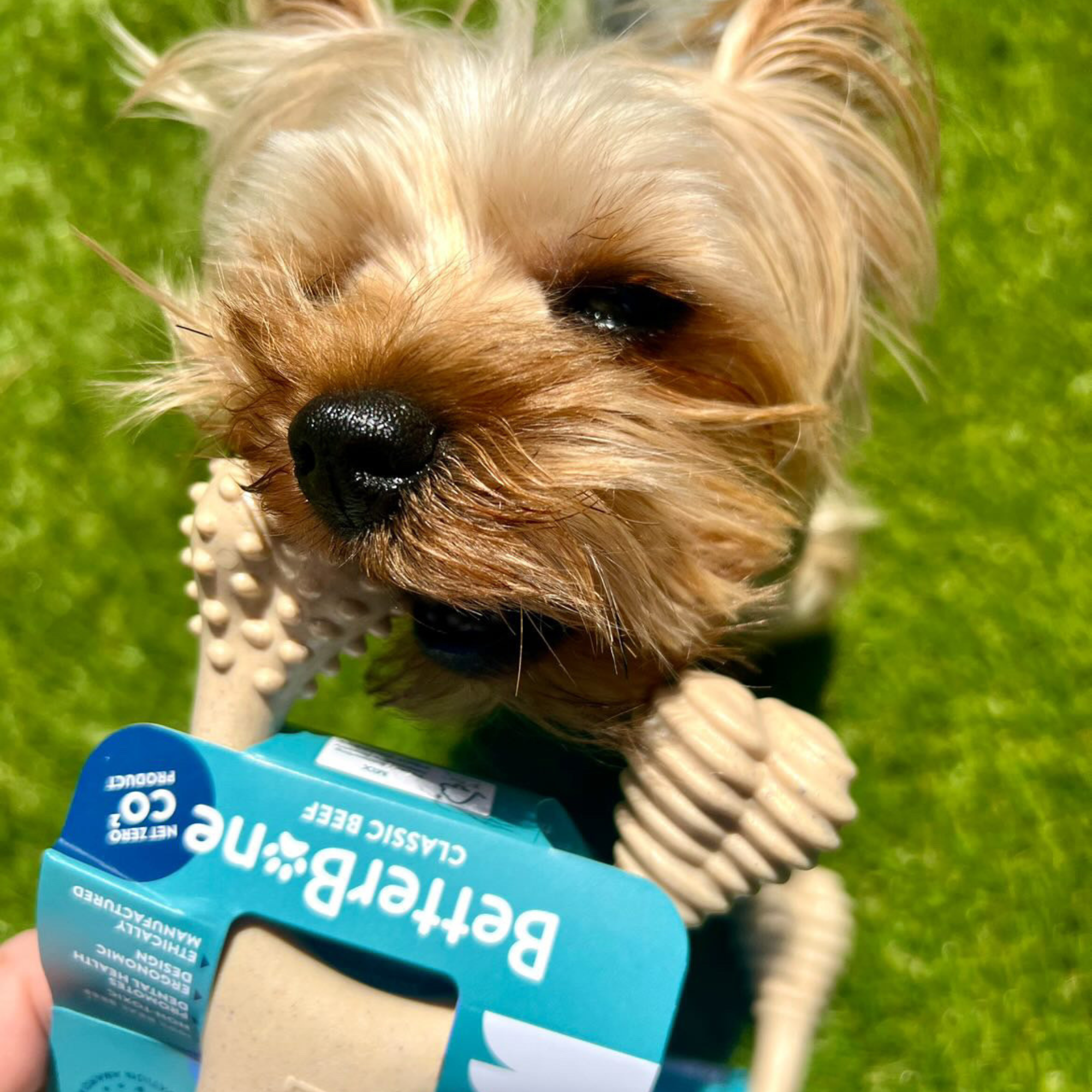 BetterBone Chew Toy LIGHT - Durable and Safe Chewing Fun for Dogs