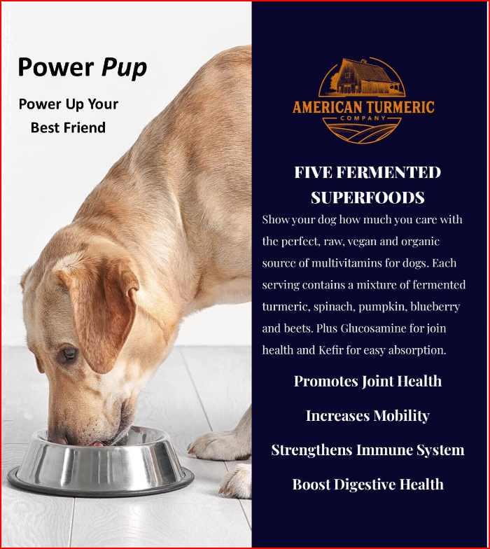 Power Pup Fermented Superfood Turmeric Powder for Pets - Priscilla's Pet Paradise