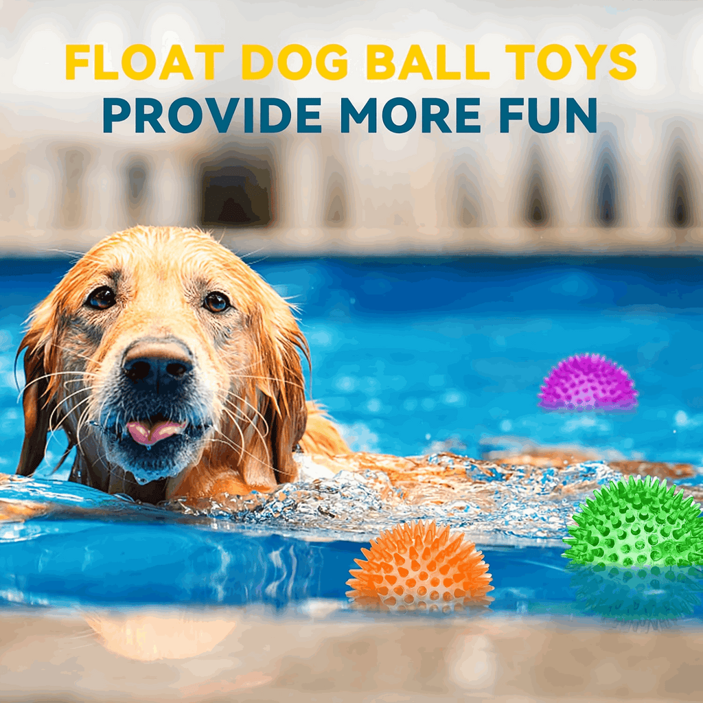 2.5” Squeaky Dog Balls for Small Dogs - Interactive Teething Chew Toys for Clean Teeth and Training