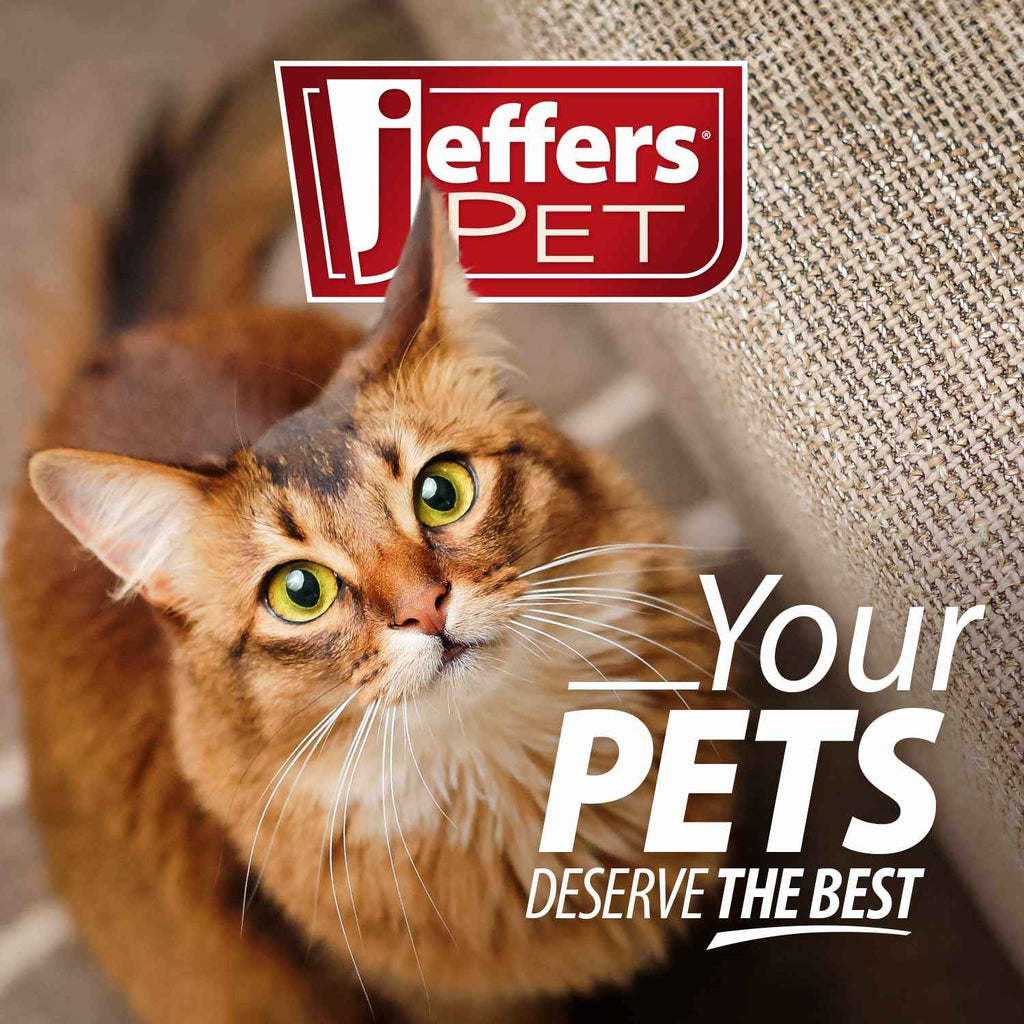 Jeffers Double-Sided Flex Head Pet Grooming Slicker Brush