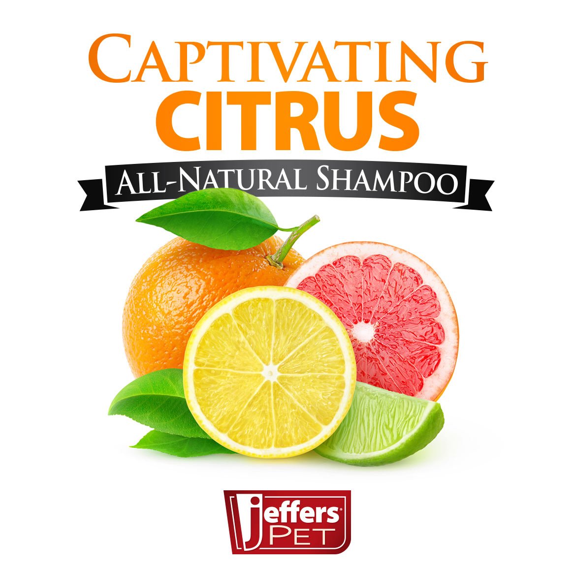 Jeffers Pet Captivating Citrus All-Natural Flea Bite Relief Shampoo for Dogs and Cats - Priscilla's Pet Paradise
