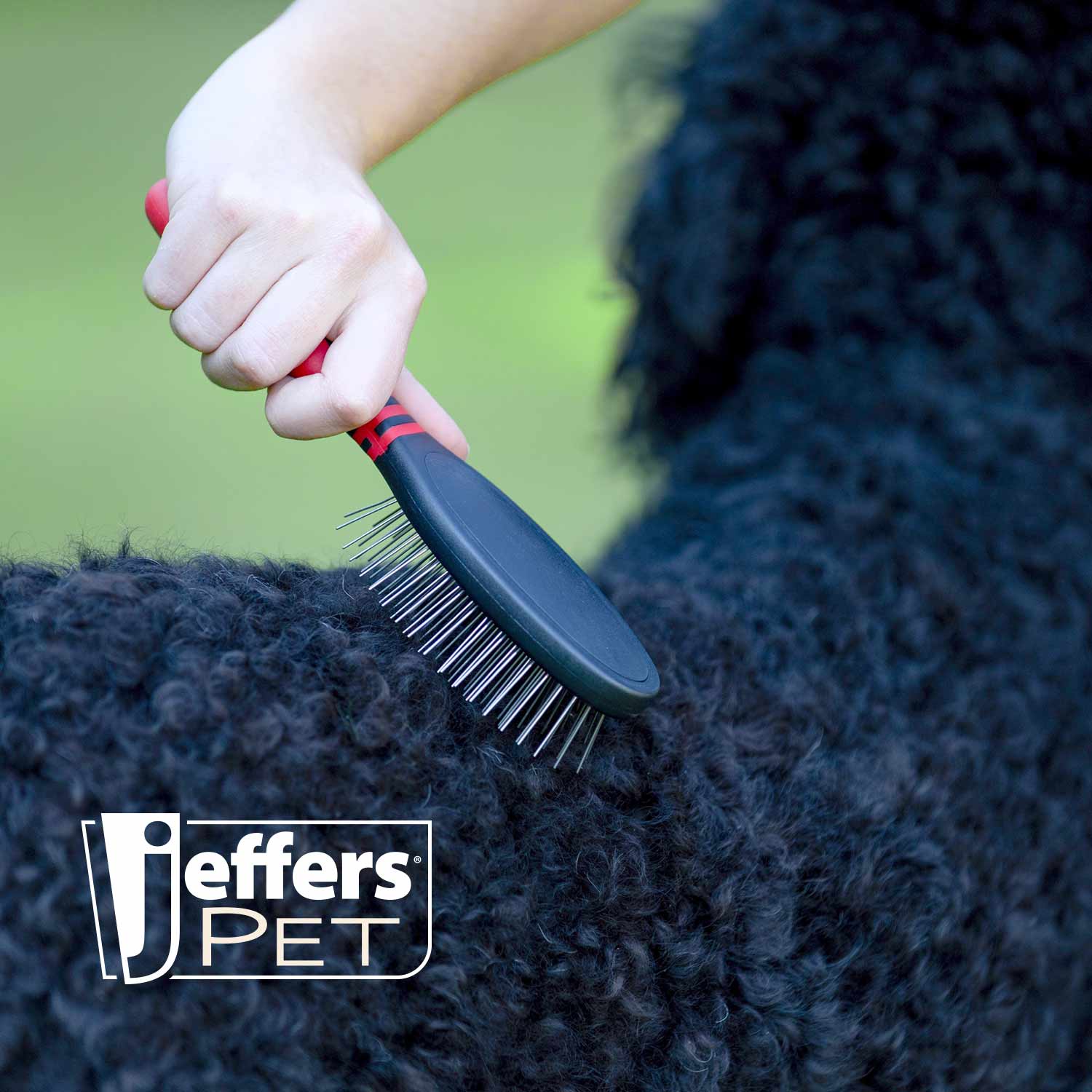 Jeffers Pin Brush for Pet Grooming - Priscilla's Pet Paradise