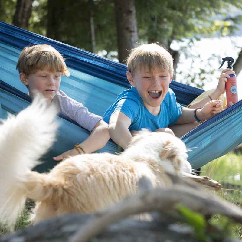 Bug Repellent Spray For Dogs