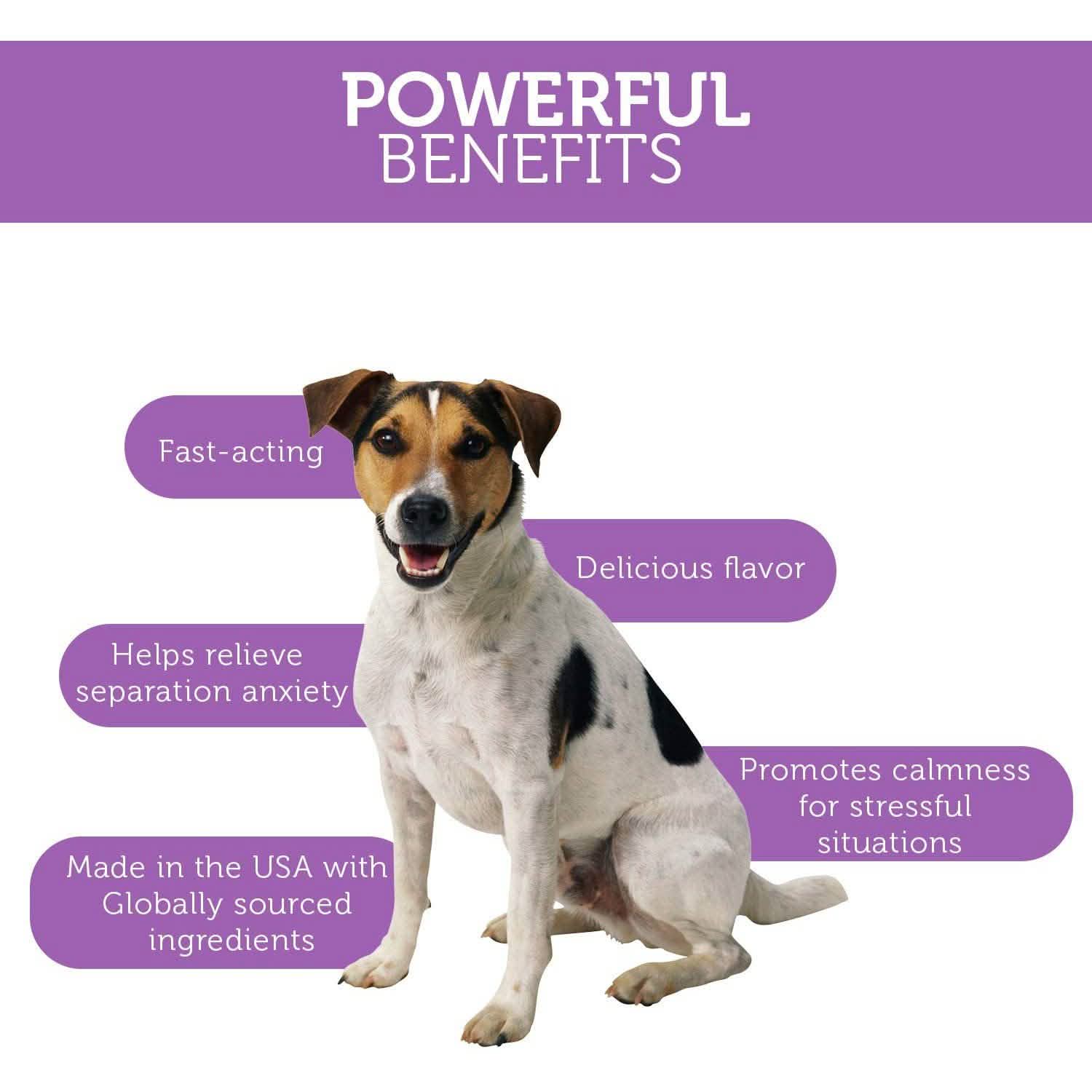 Paws & Pals Dog Calming Treats - Pet Anti Anxiety Supplement - Priscilla's Pet Paradise