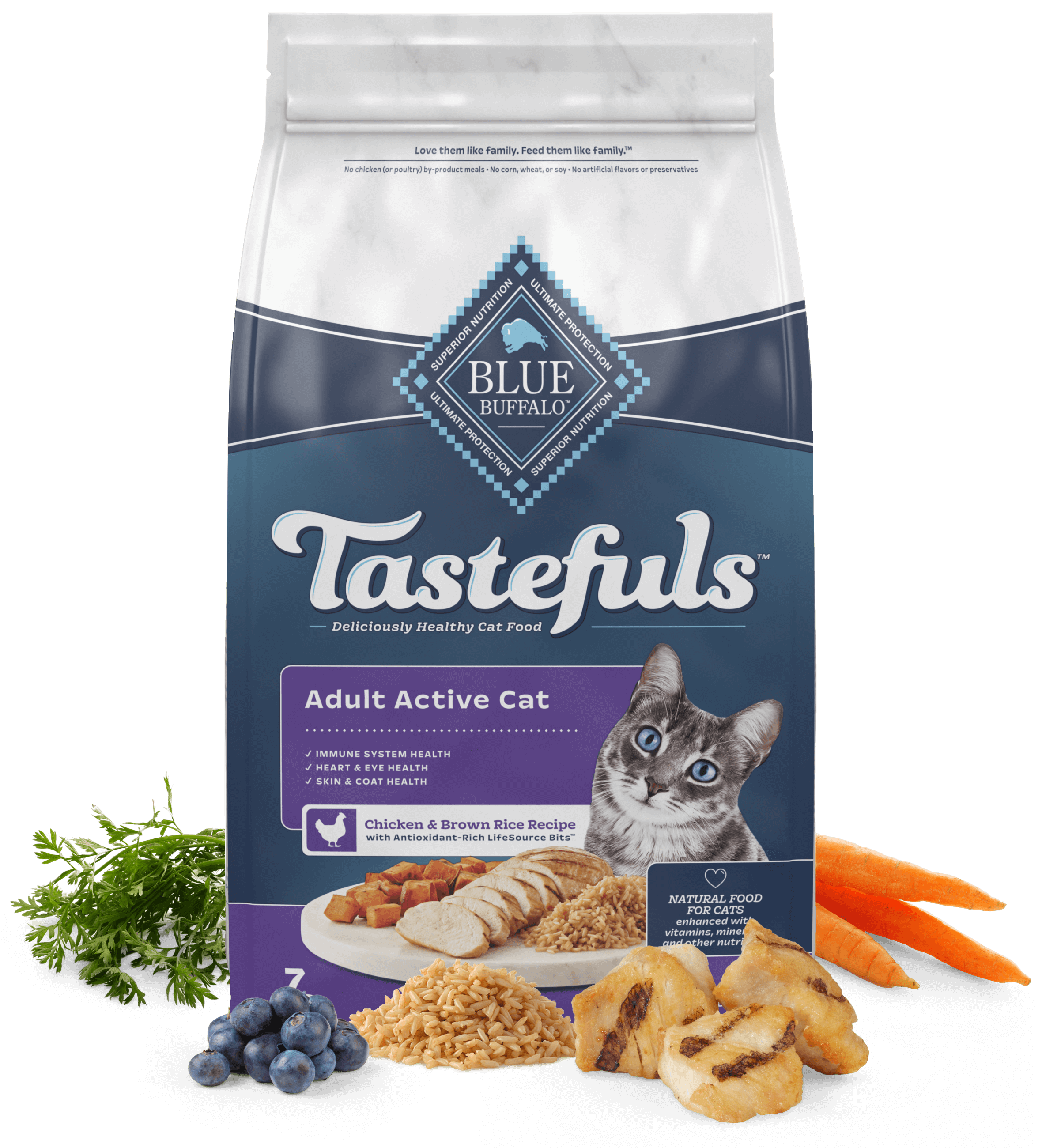 Blue Buffalo Blue Tastefuls Active Adult Cat Chicken & Brown Rice Recipe Dry Cat Food - Priscilla's Pet Paradise