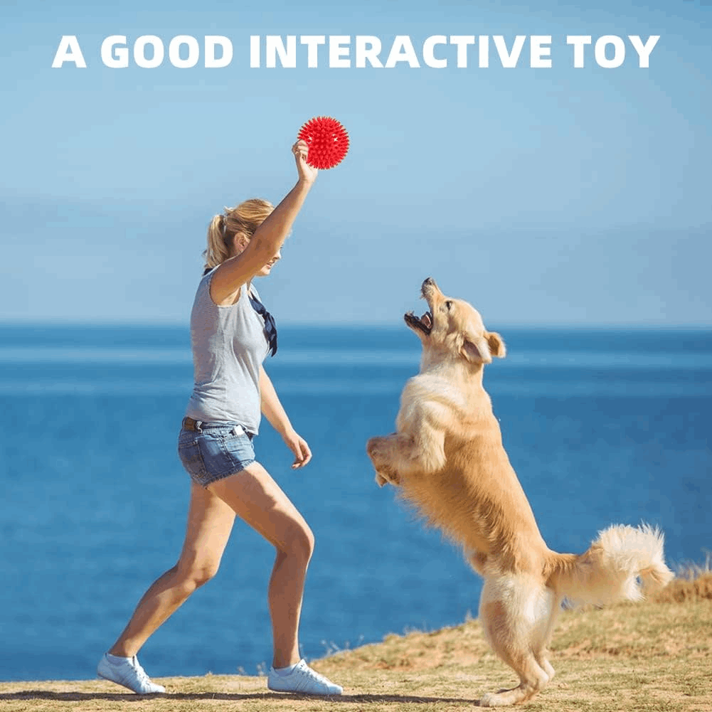 2.5” Squeaky Dog Balls for Small Dogs - Interactive Teething Chew Toys for Clean Teeth and Training