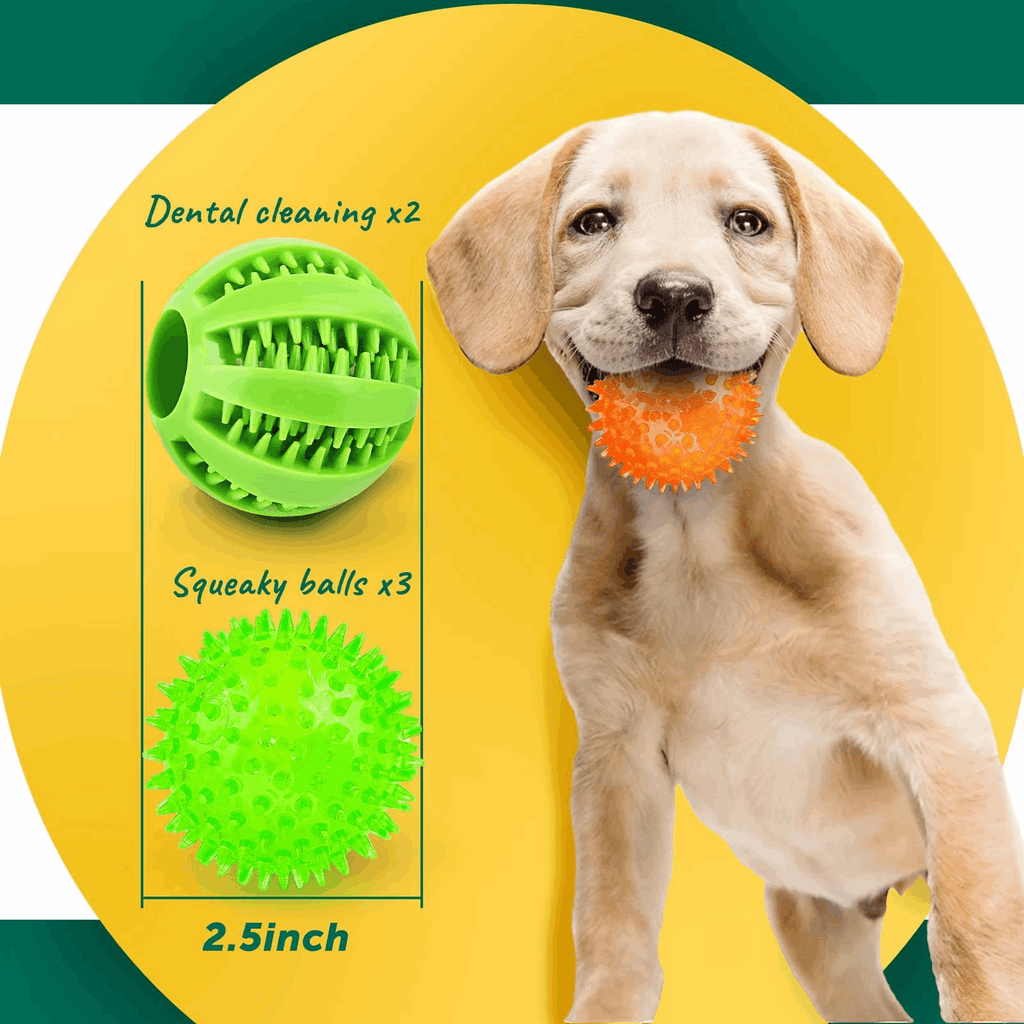 2.5” Squeaky Dog Balls for Small Dogs - Interactive Teething Chew Toys for Clean Teeth and Training