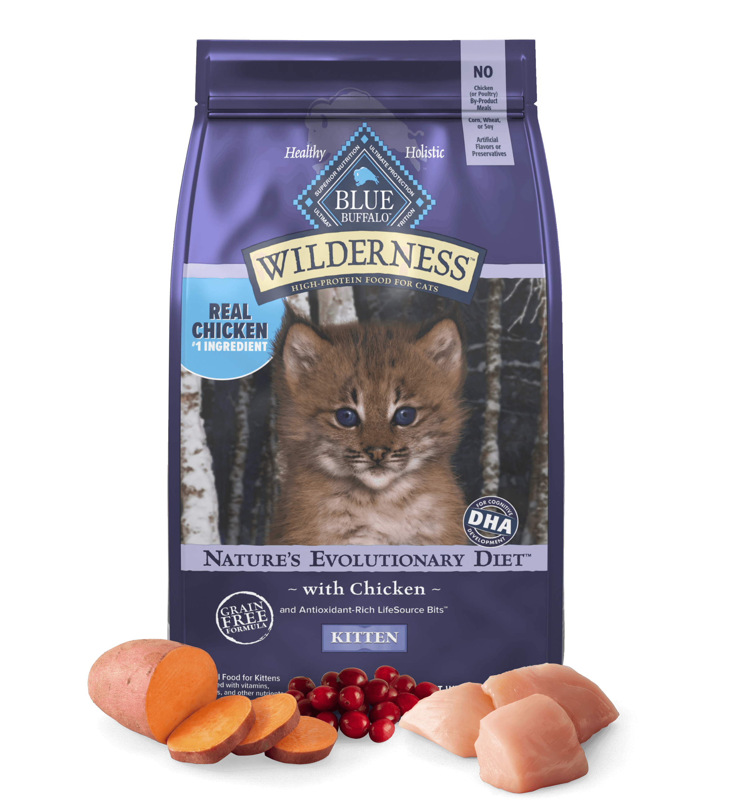 Blue Buffalo Wilderness Kitten Chicken Recipe Dry Cat Food - Priscilla's Pet Paradise